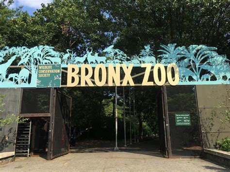  Bronx Zoo: Lass deine tierischen Träume in der geschäftigen Metropole wahr werden!